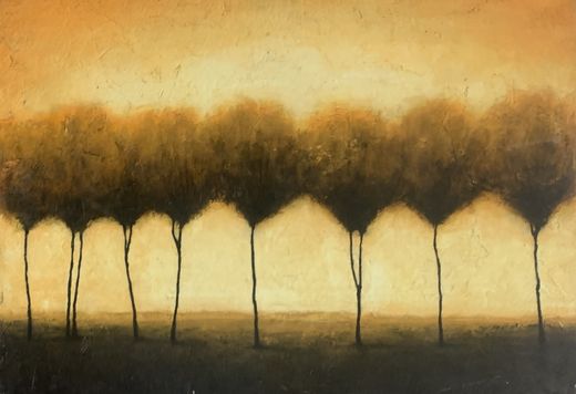 Robert Cook