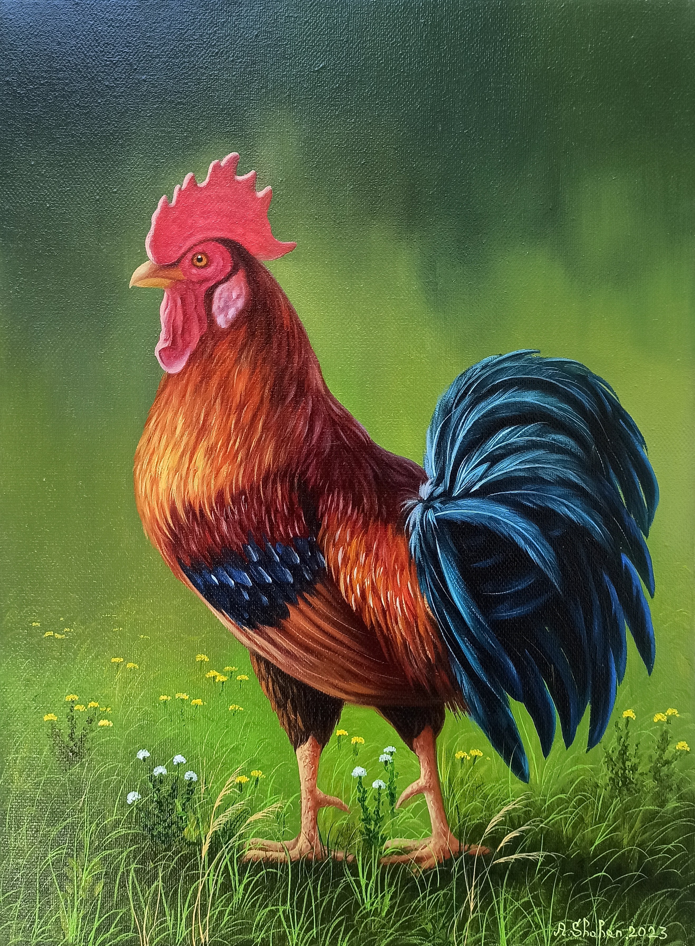 Shahen Aleksandryan, Rooster Shahen Aleksandryan, Rooster