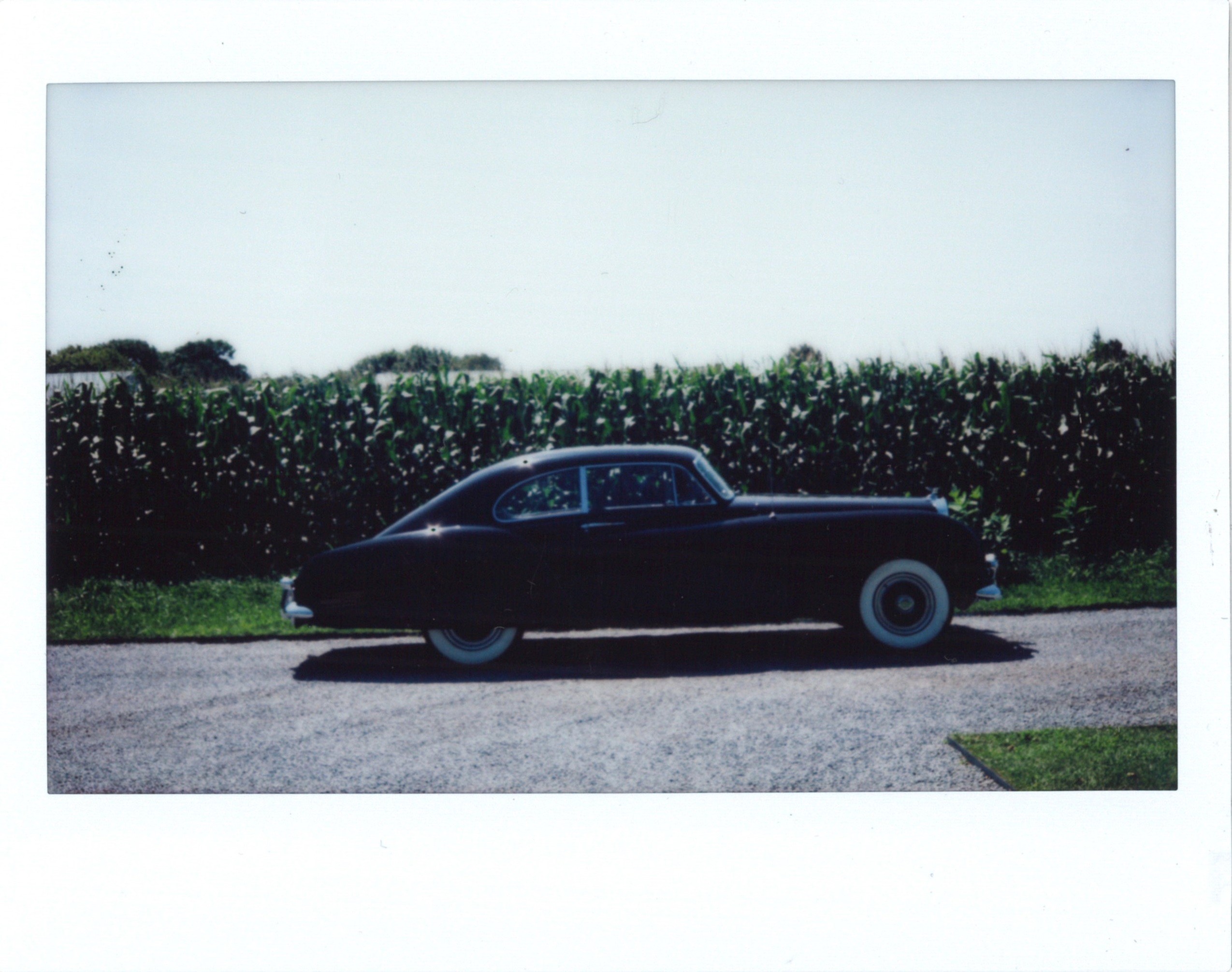 Noa Grayevsky, Vintage car Noa Grayevsky, Vintage car