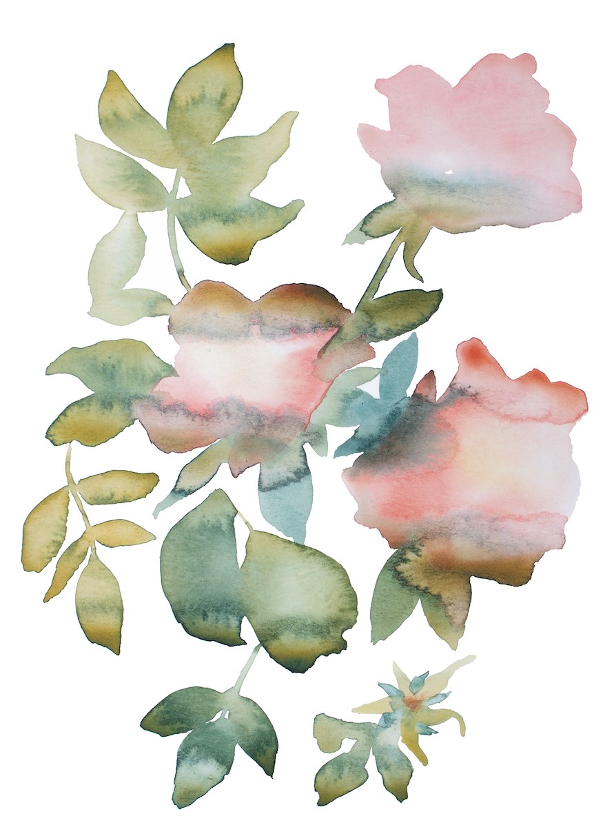 Elizabeth Becker, Rose study no. 82 Elizabeth Becker, Rose study no. 82