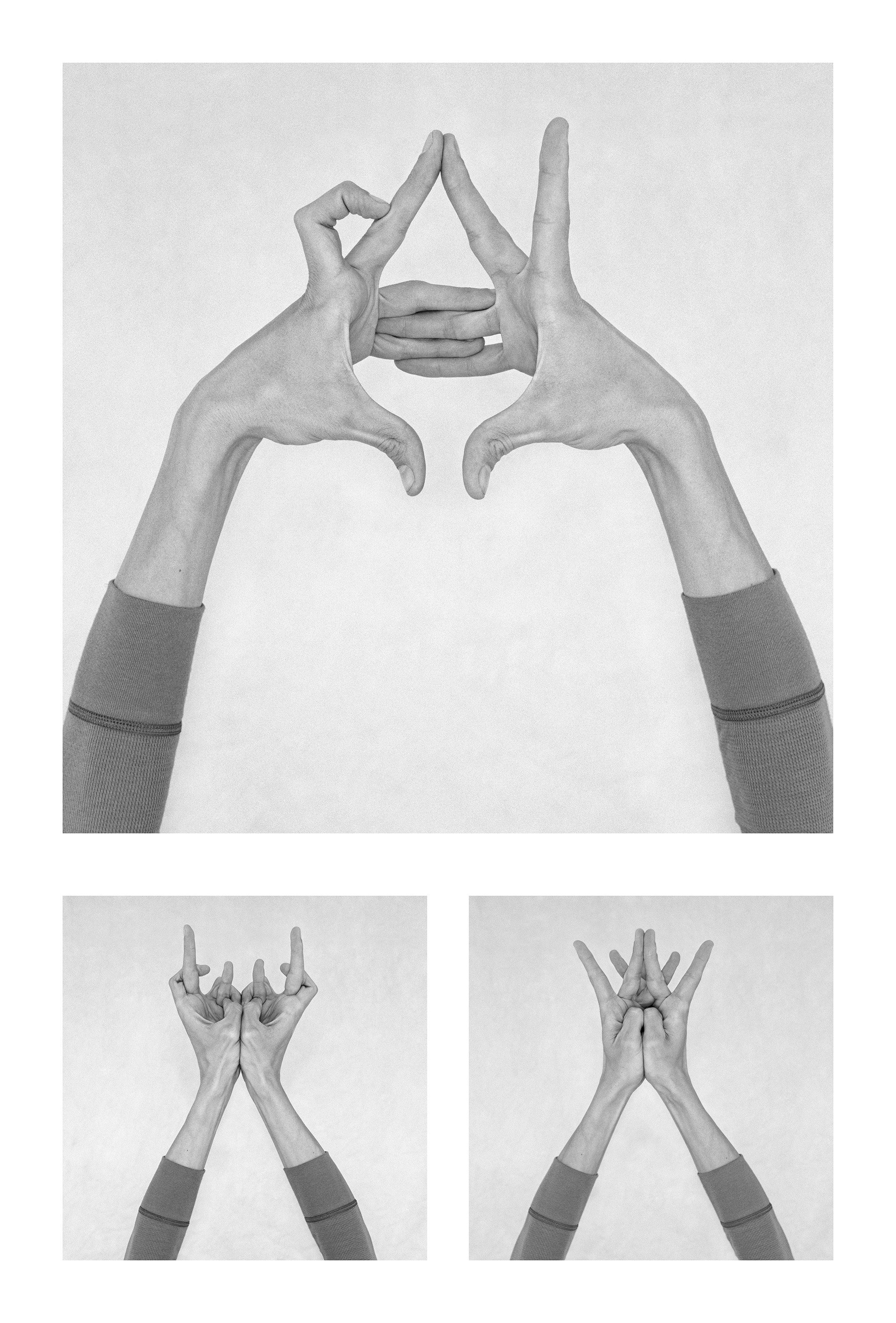 Nico Baixas / Gos-com-fuig, Untitled XII, XXXVII, and Untitled XXVI. Triptych. From the series Chiromorphose Nico Baixas / Gos-com-fuig, Untitled XII, XXXVII, and Untitled XXVI. Triptych. From the series Chiromorphose