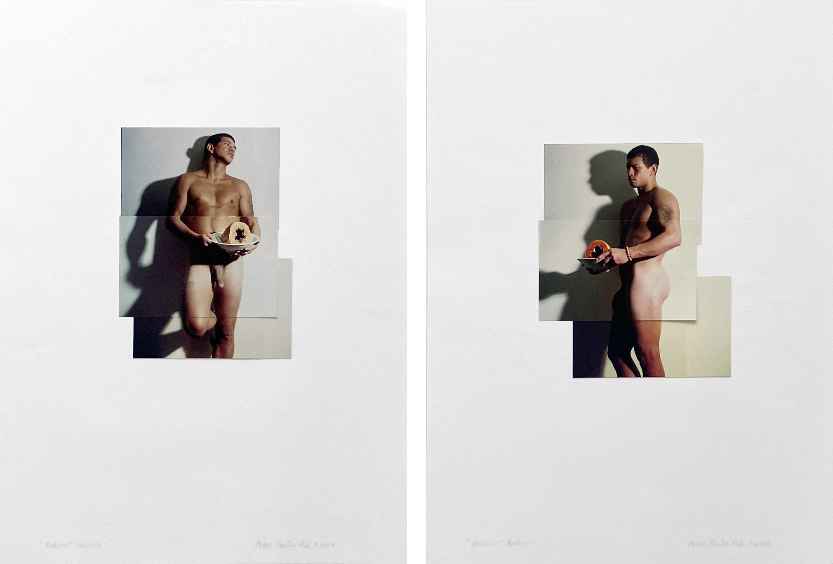 Celso Castro, Bodegon Mauricio Feb 1, Diptych. Photo Collage Celso Castro, Bodegon Mauricio Feb 1, Diptych. Photo Collage