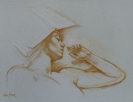 Fine Art Drawings, Le Livre-chapeau, Francine Van Hove