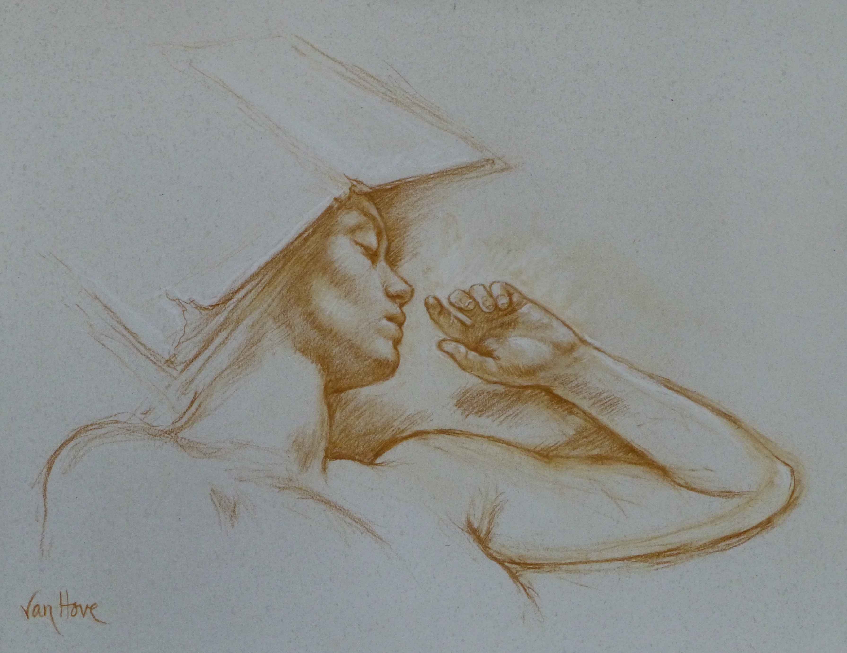 Francine Van Hove, Le Livre-chapeau Francine Van Hove, Le Livre-chapeau