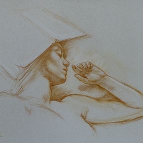 Fine Art Drawings, Le Livre-chapeau, Francine Van Hove