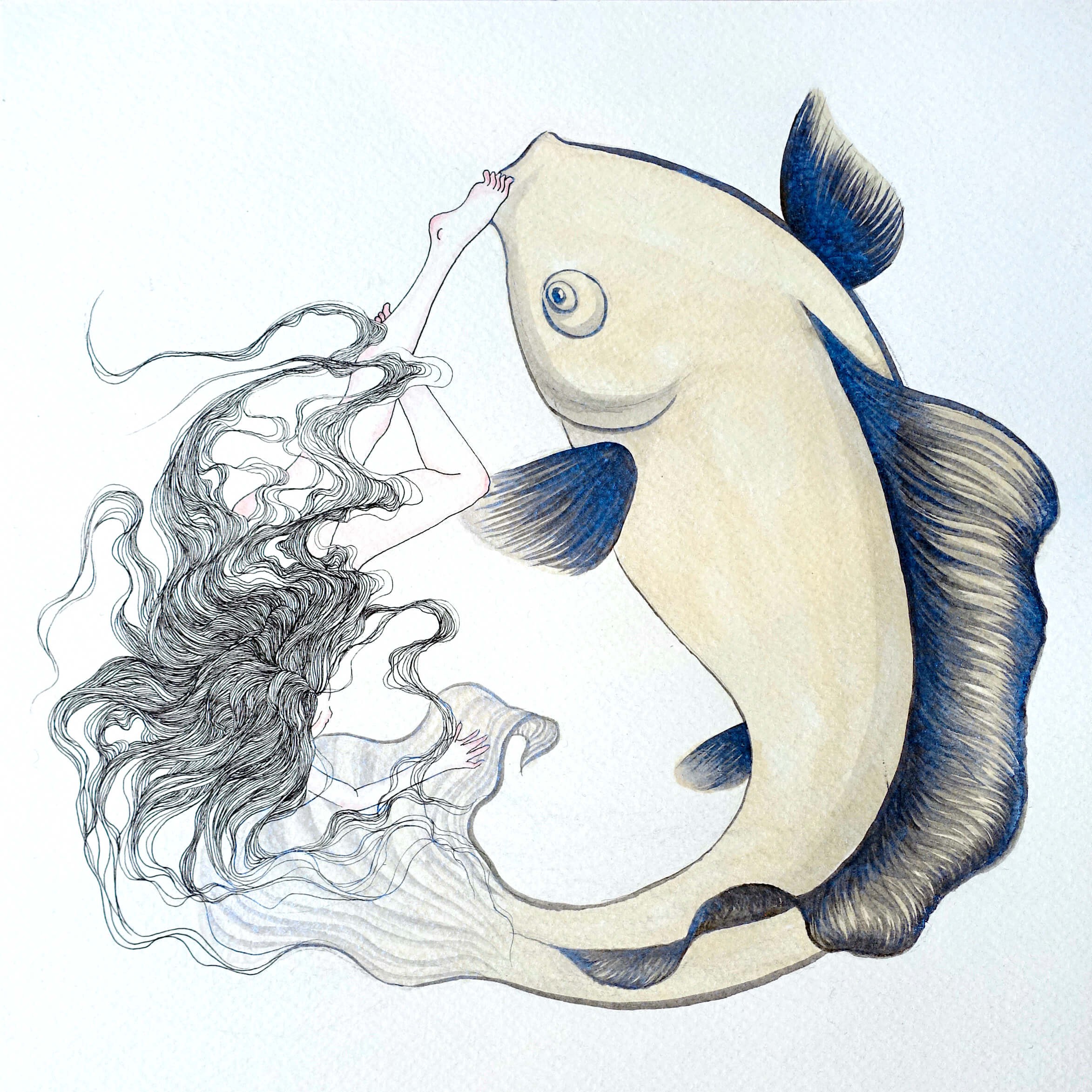Jojo Wang, Fish Jojo Wang, Fish