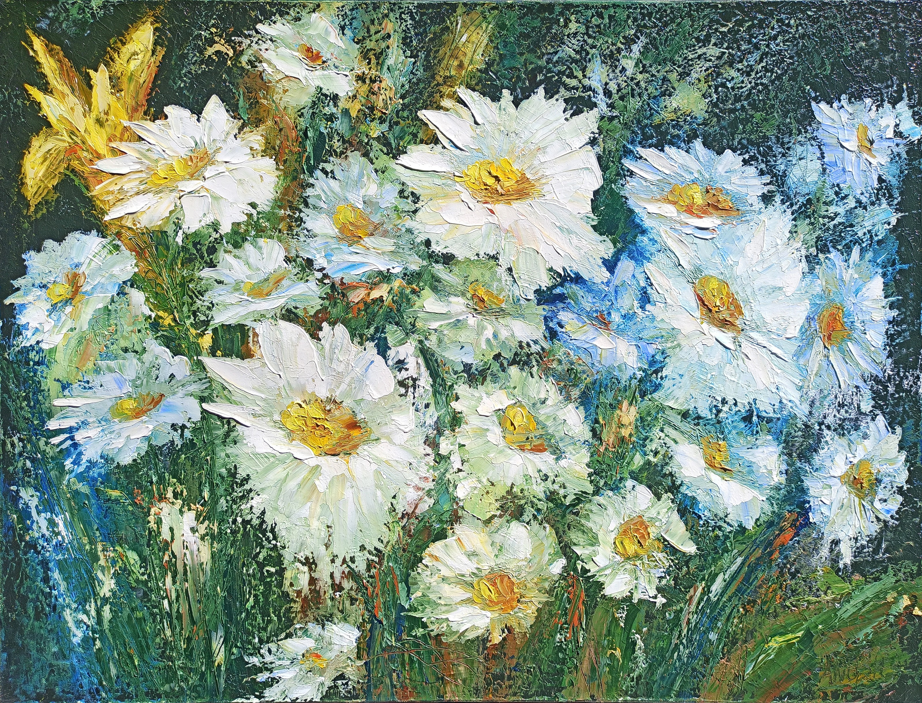 Anush Emiryan, Chamomiles Anush Emiryan, Chamomiles