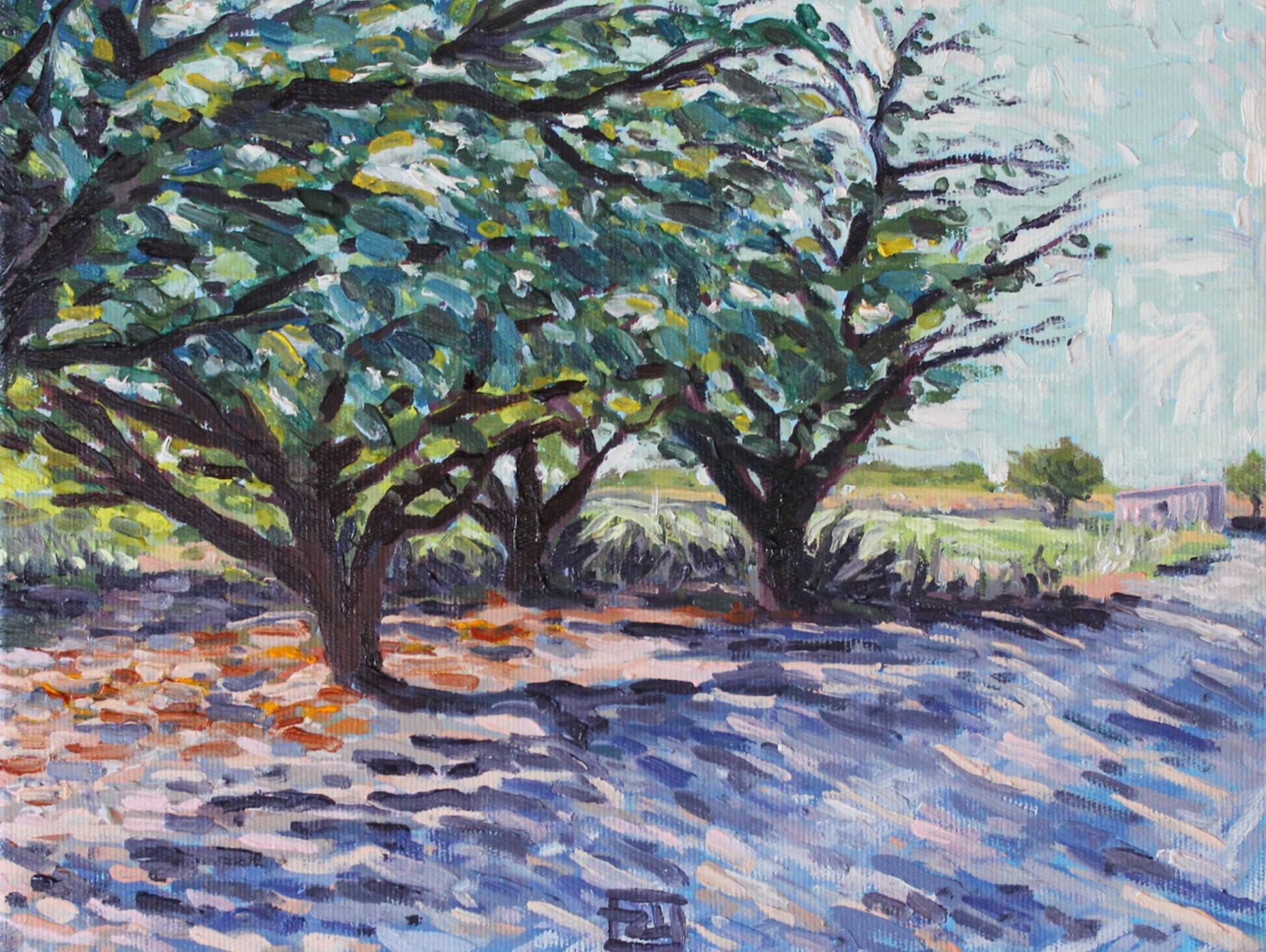 Yusuf Epcin, Shade of Apricot, Saraycik Yusuf Epcin, Shade of Apricot, Saraycik