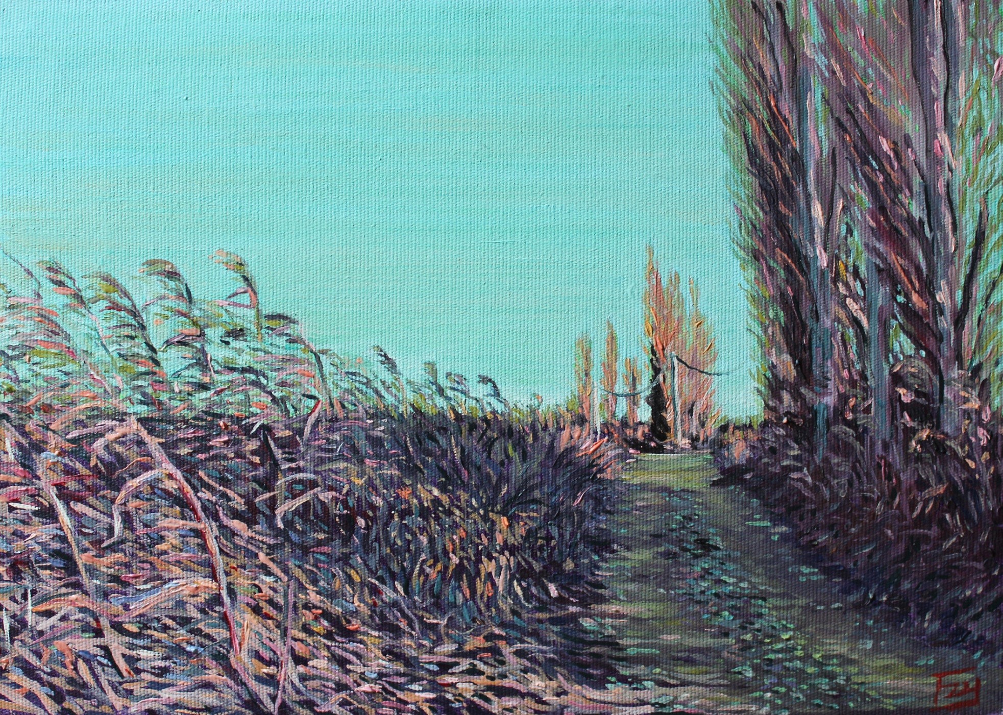 Yusuf Epcin, Lilac Burn Yusuf Epcin, Lilac Burn