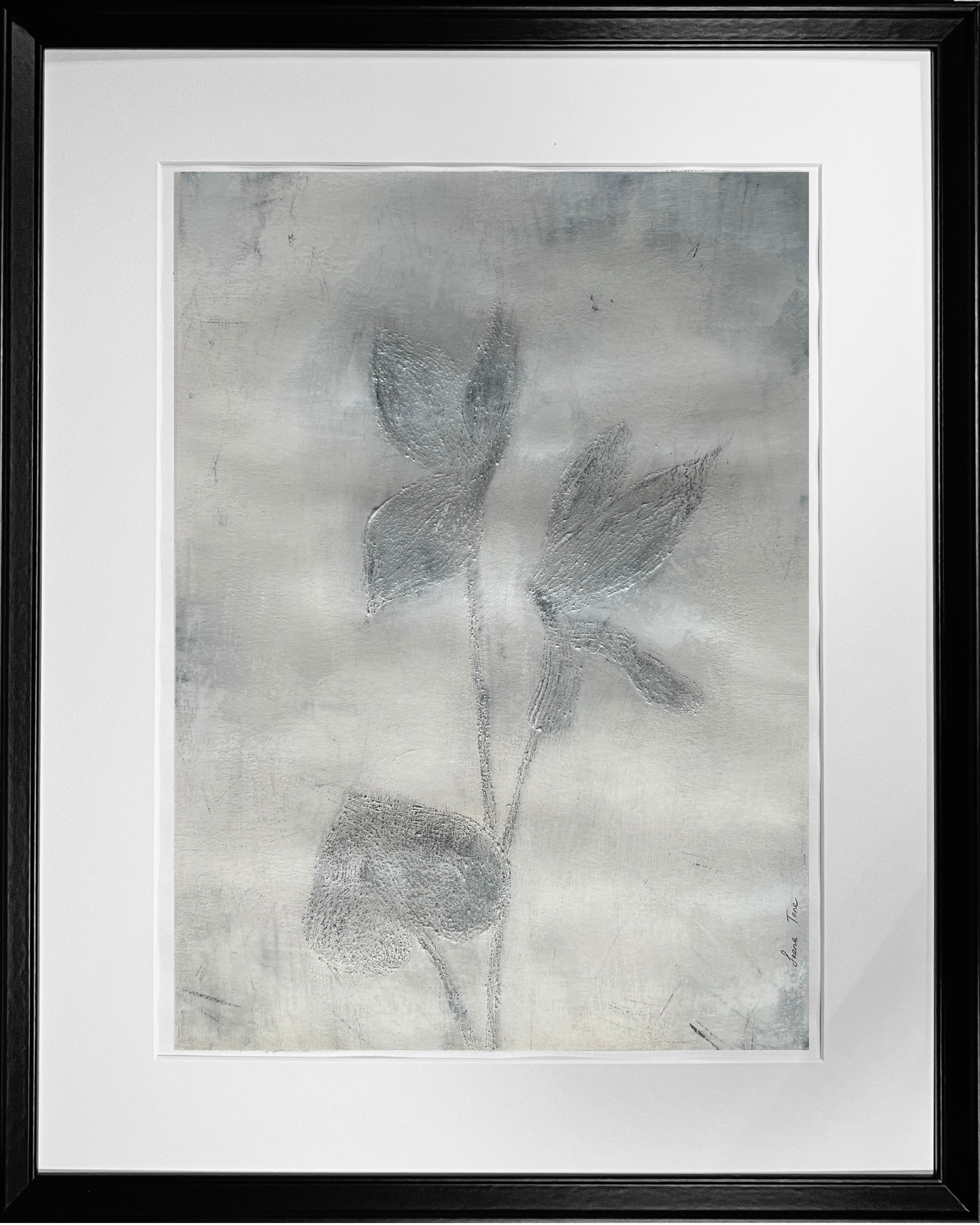 Irena Tone, Cyclamen flowers Irena Tone, Cyclamen flowers