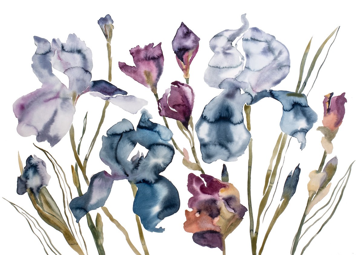 Elizabeth Becker, Irises No. 2 Elizabeth Becker, Irises No. 2
