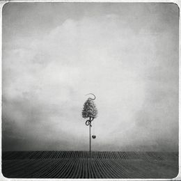 Photography, Serpentine, Beata Bieniak