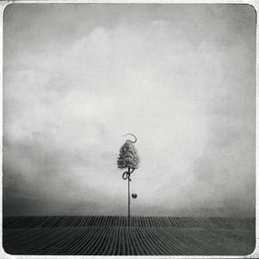 Photography, Serpentine, Beata Bieniak