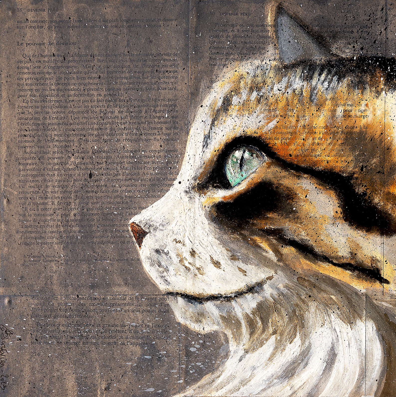 Bazévian Delacapucinière, Animal Cat L'oeil qui ne contemple NSWE Bazévian Delacapucinière, Animal Cat L'oeil qui ne contemple NSWE