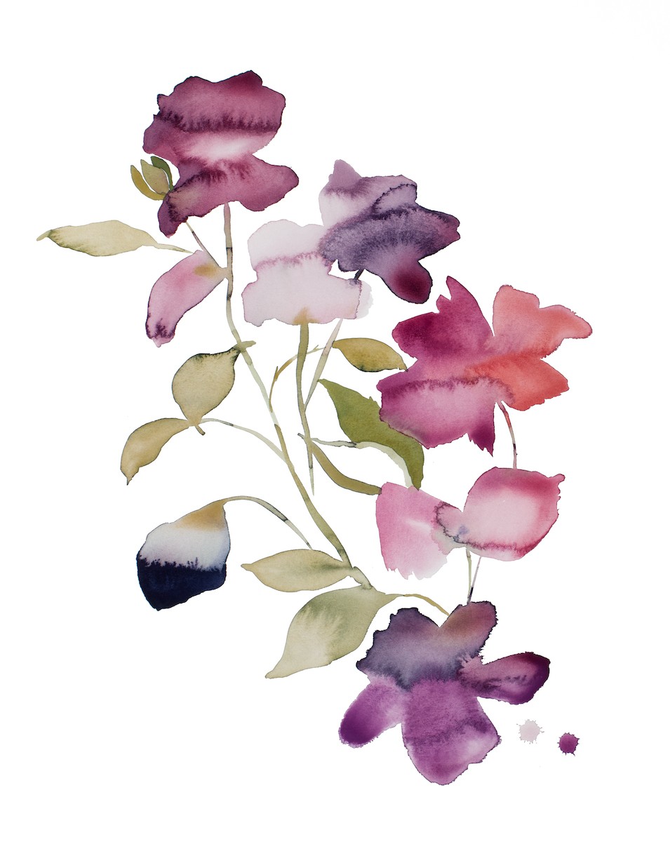 Elizabeth Becker, Rose study no. 83 Elizabeth Becker, Rose study no. 83