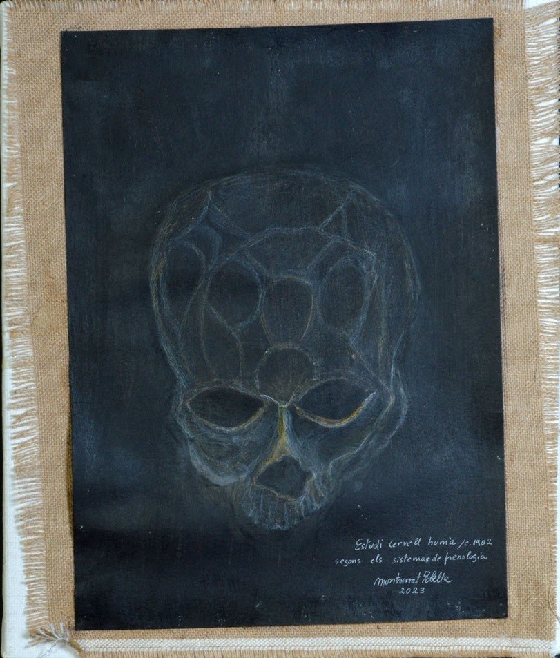 Montserrat Tobella Bosch, Estudio del cerebro humano según el sistema de frenología, c. 1902 Montserrat Tobella Bosch, Estudio del cerebro humano según el sistema de frenología, c. 1902