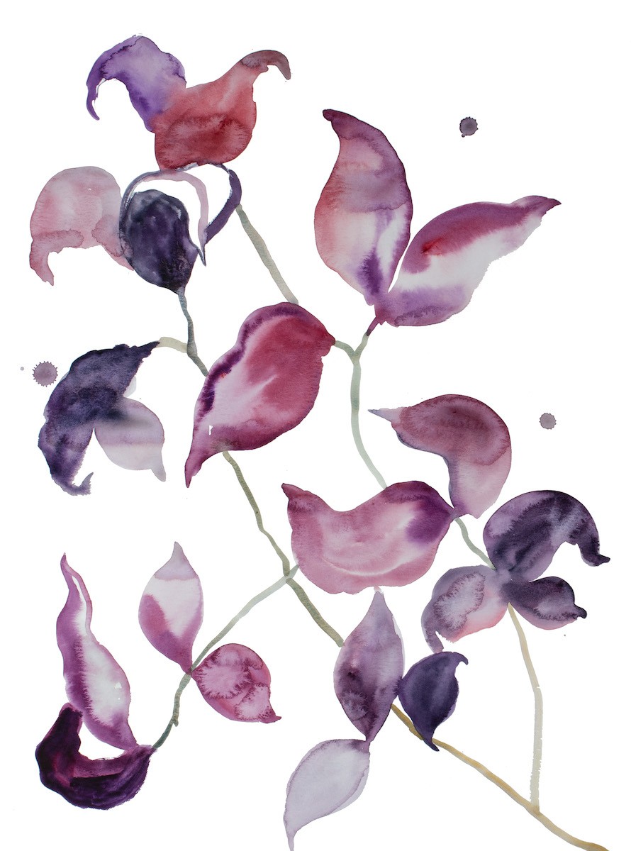 Elizabeth Becker, Plant study no. 112 Elizabeth Becker, Plant study no. 112
