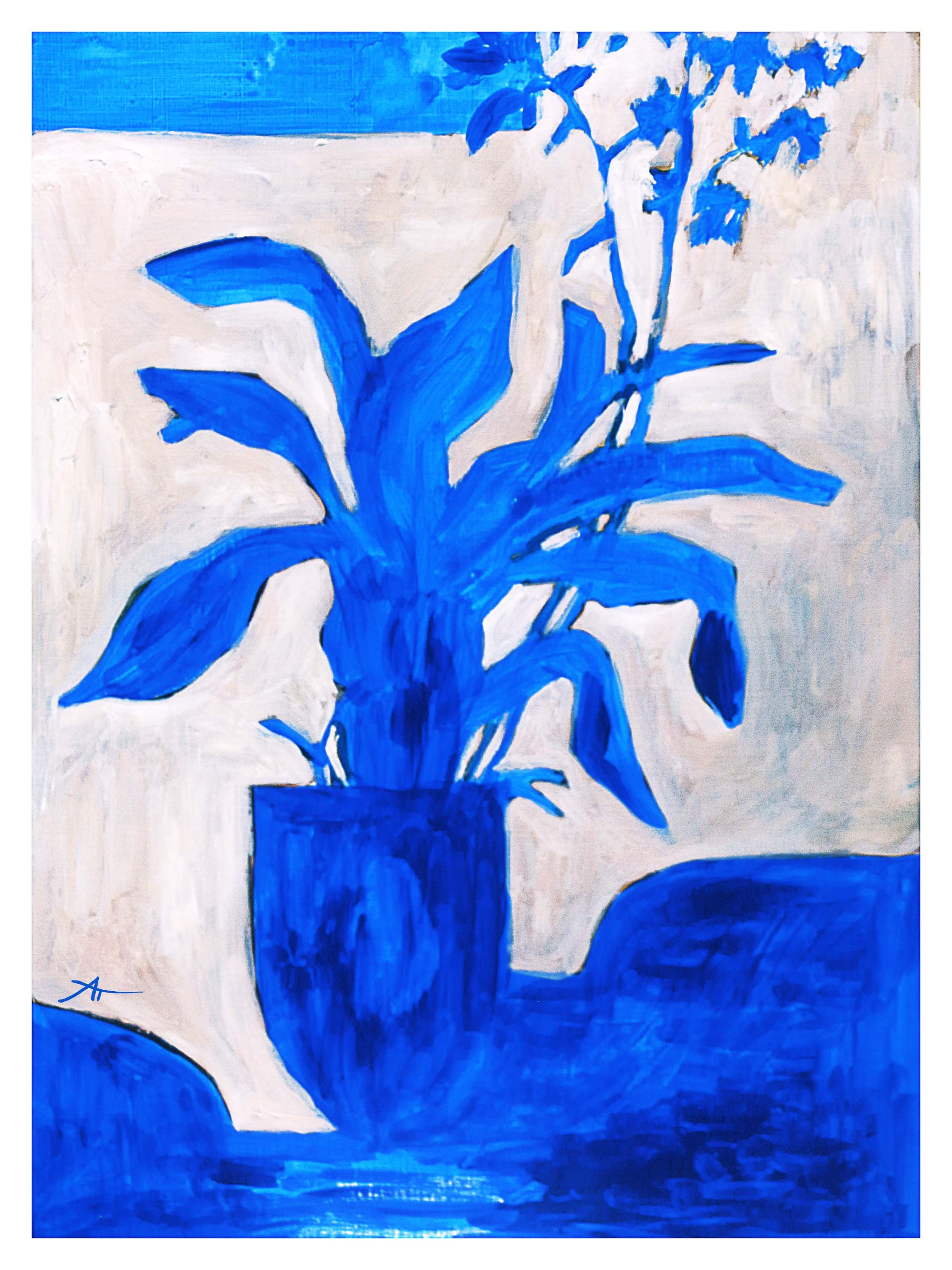 Aurélie Trabaud, Orchids Aurélie Trabaud, Orchids