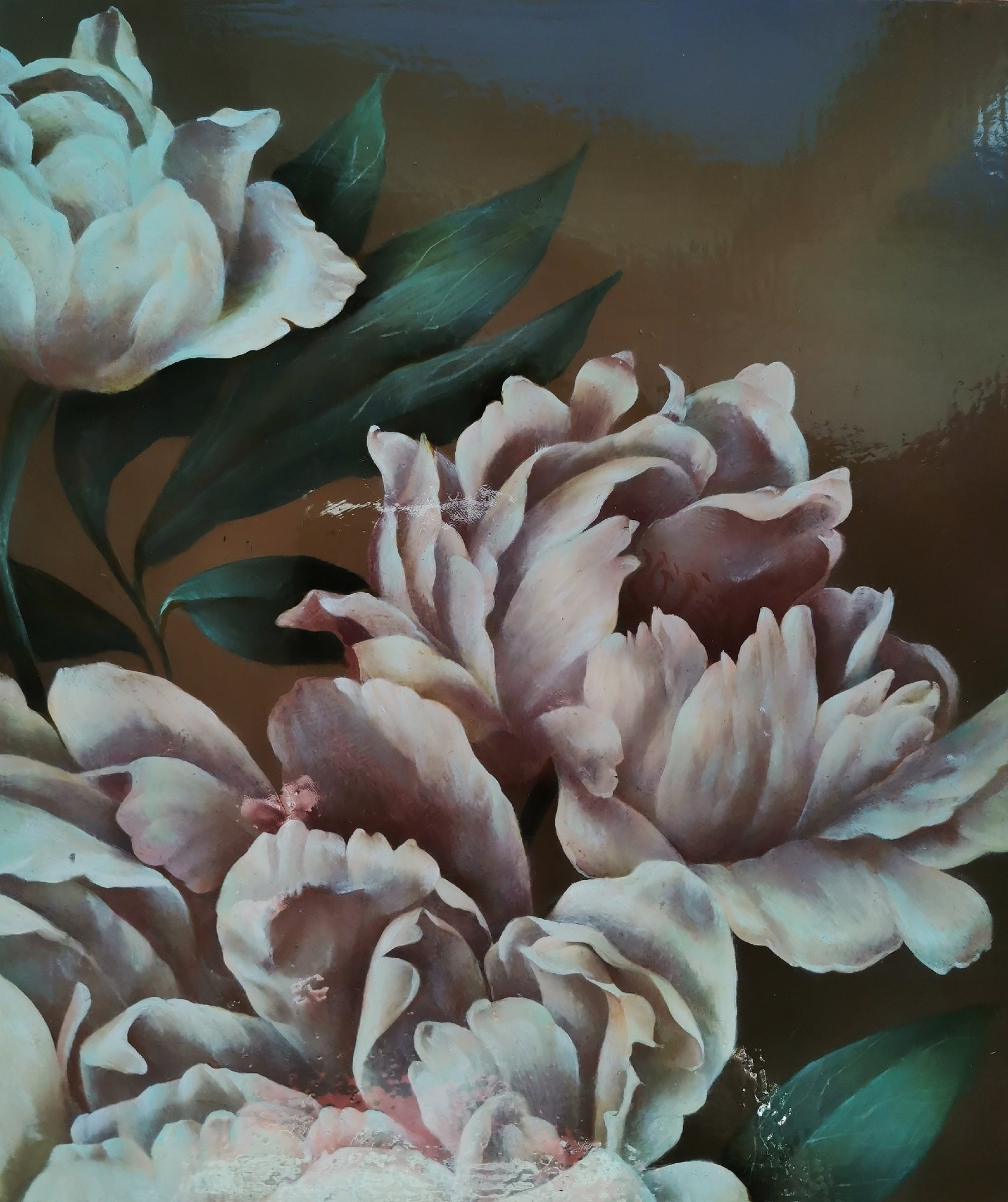 Arina Melikhova, Peony Arina Melikhova, Peony