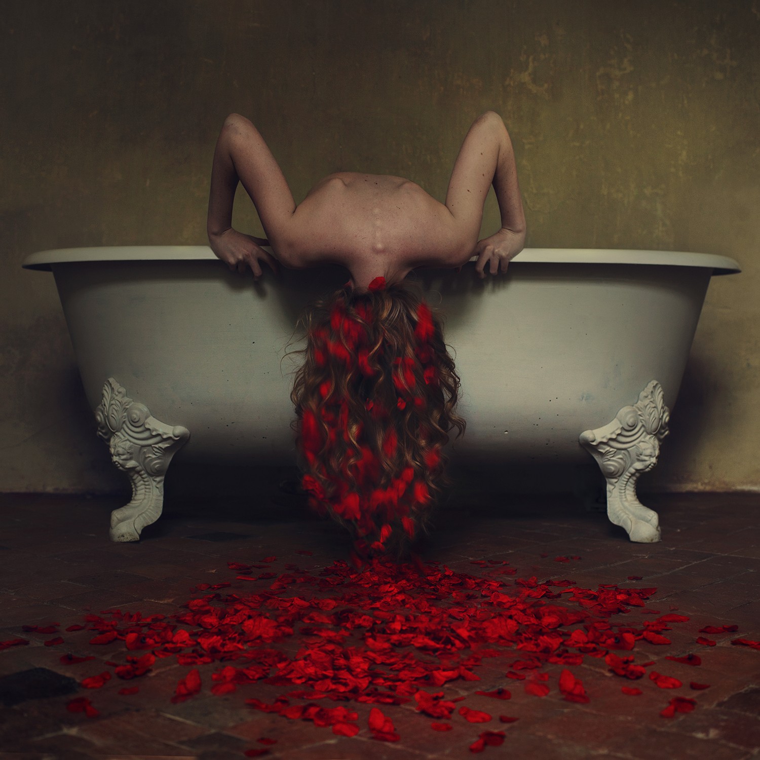 Brooke Shaden, Petals from my roots Brooke Shaden, Petals from my roots