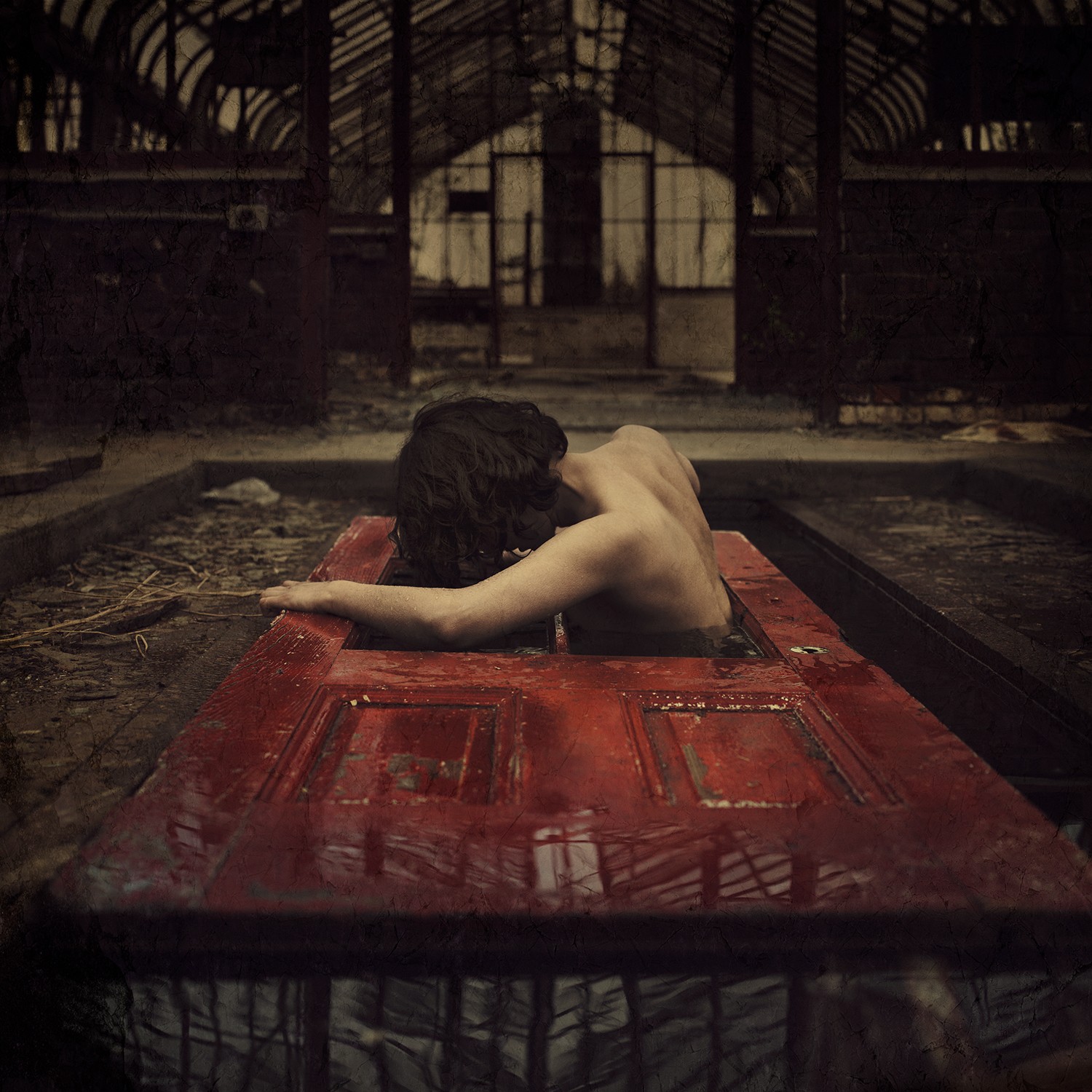 Brooke Shaden, Phoenix Brooke Shaden, Phoenix