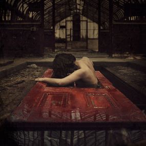 Phoenix, Brooke Shaden