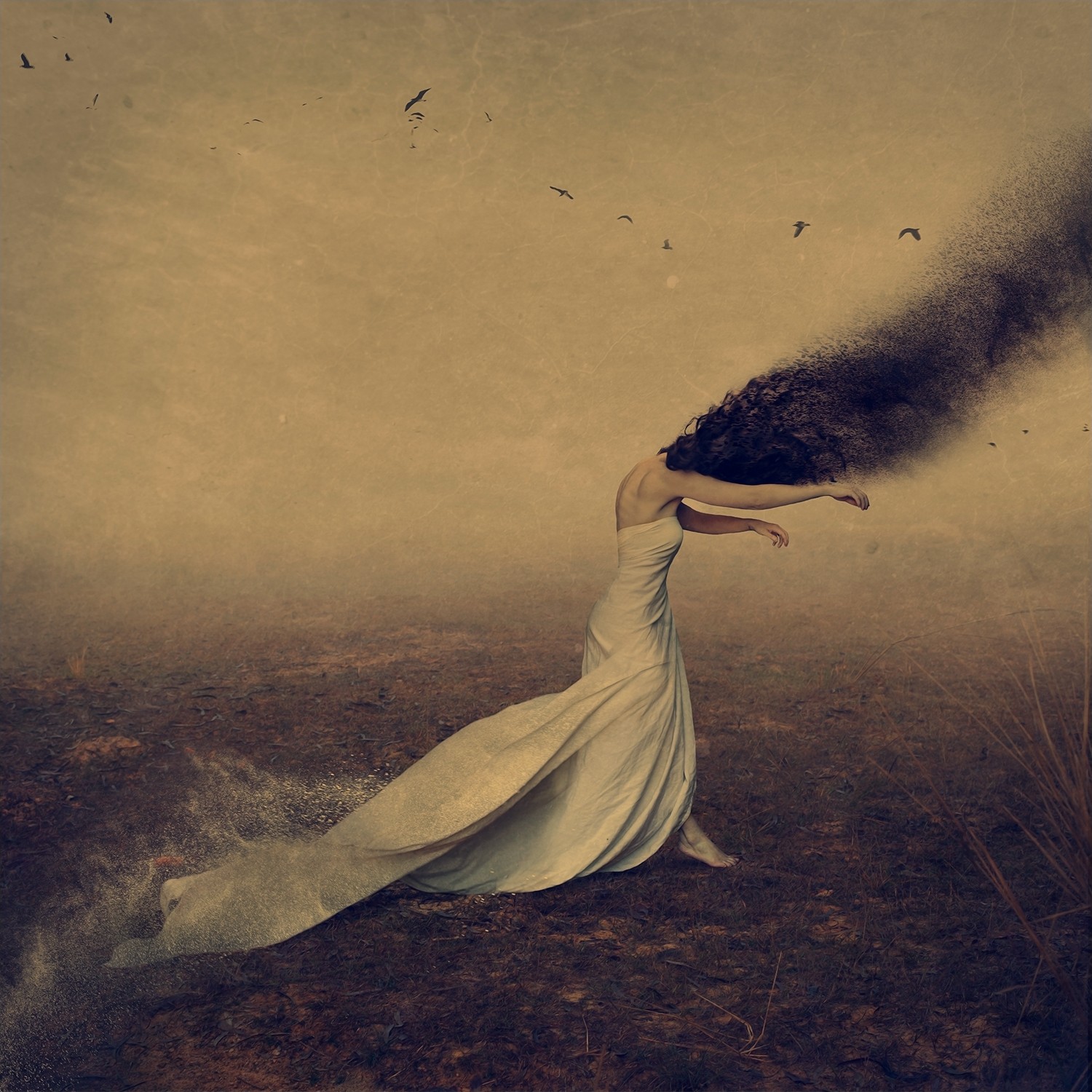 Brooke Shaden, The shadows we follow Brooke Shaden, The shadows we follow
