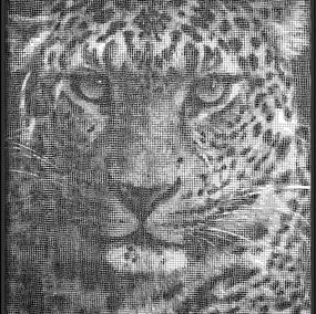 Fotografía, Plexi'Art "Panther #1" (11), JM Collell