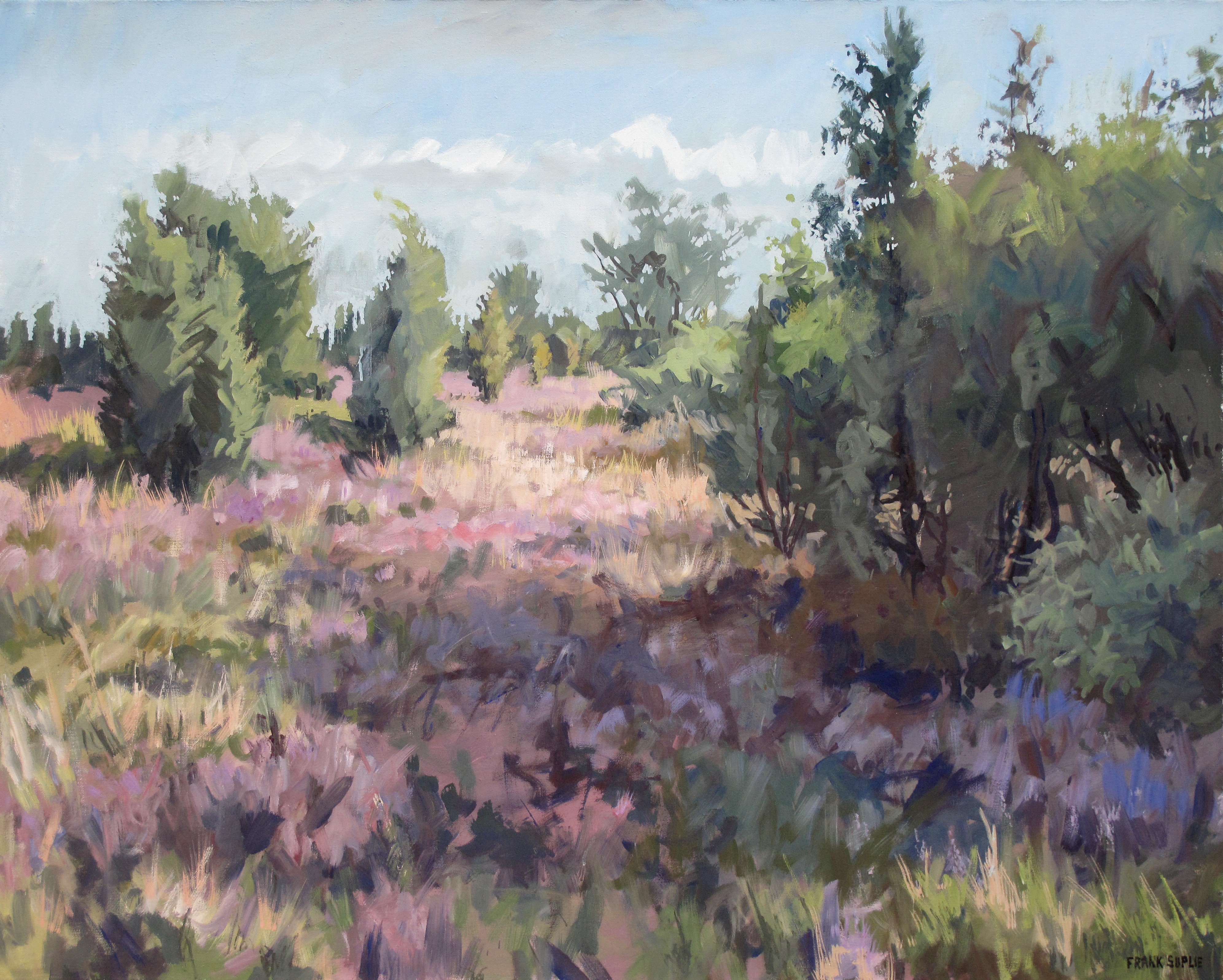 Frank Suplie, Wacholderwald und Heide, Schmarbeck Frank Suplie, Wacholderwald und Heide, Schmarbeck