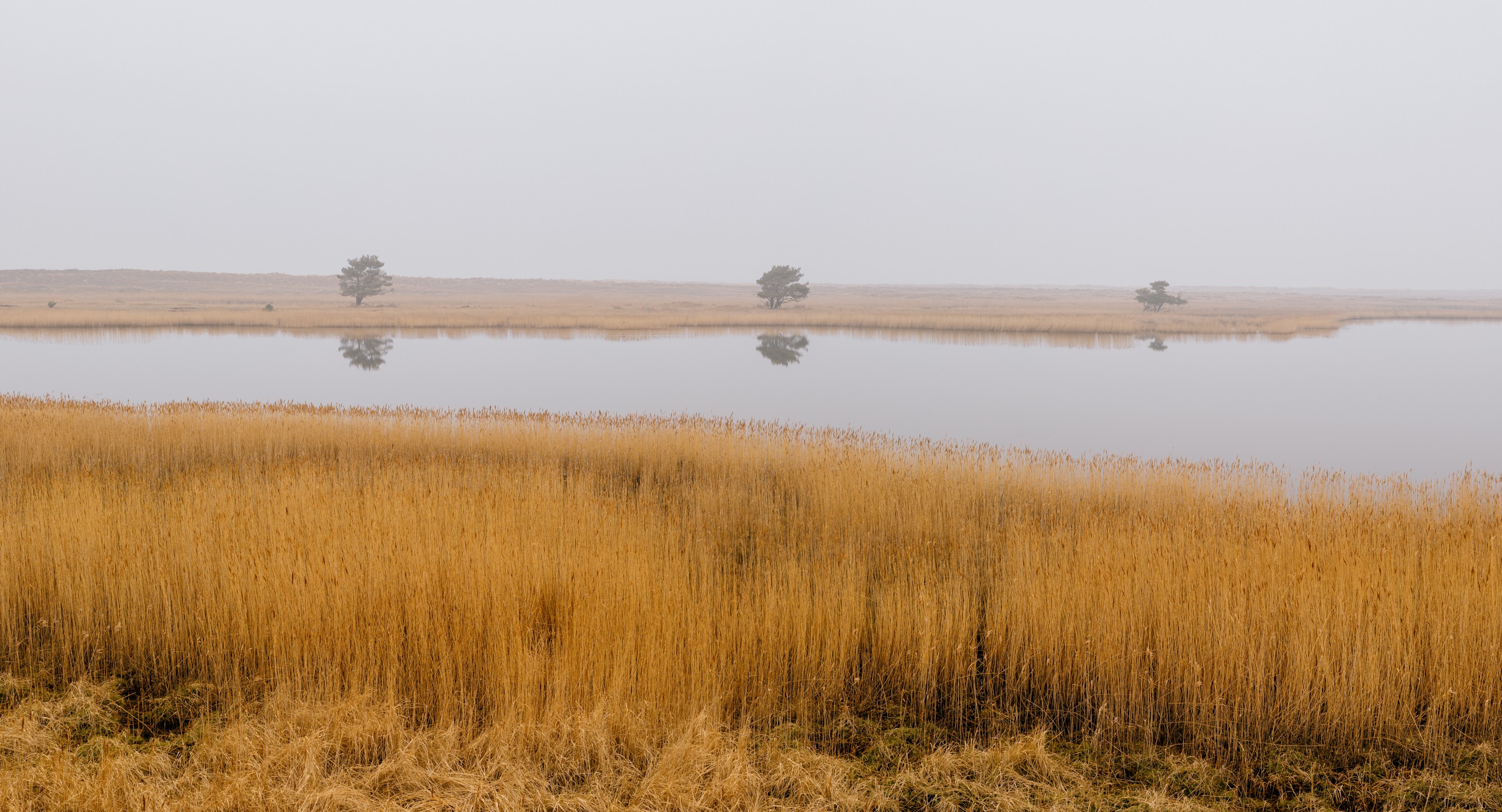 Matthias Conrad, A calm morning at Darss Peninsula Matthias Conrad, A calm morning at Darss Peninsula