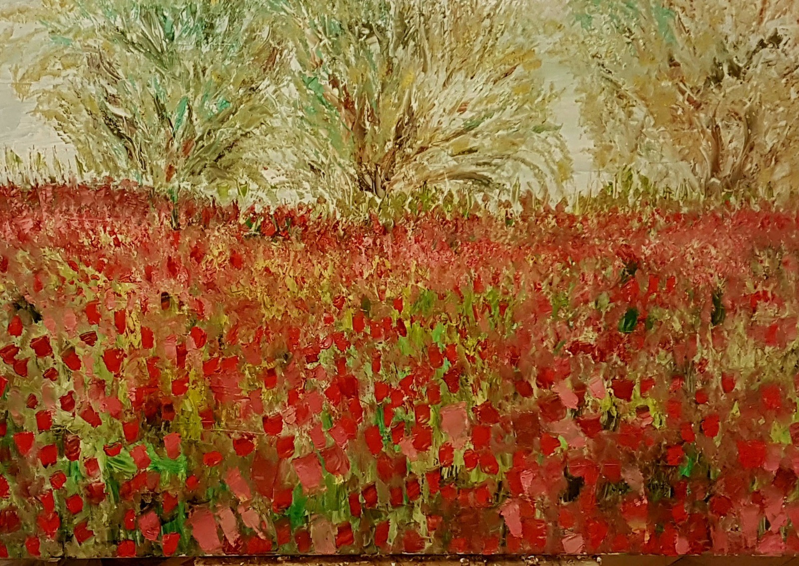 Dondi Schwartz, Red anemone fields Dondi Schwartz, Red anemone fields