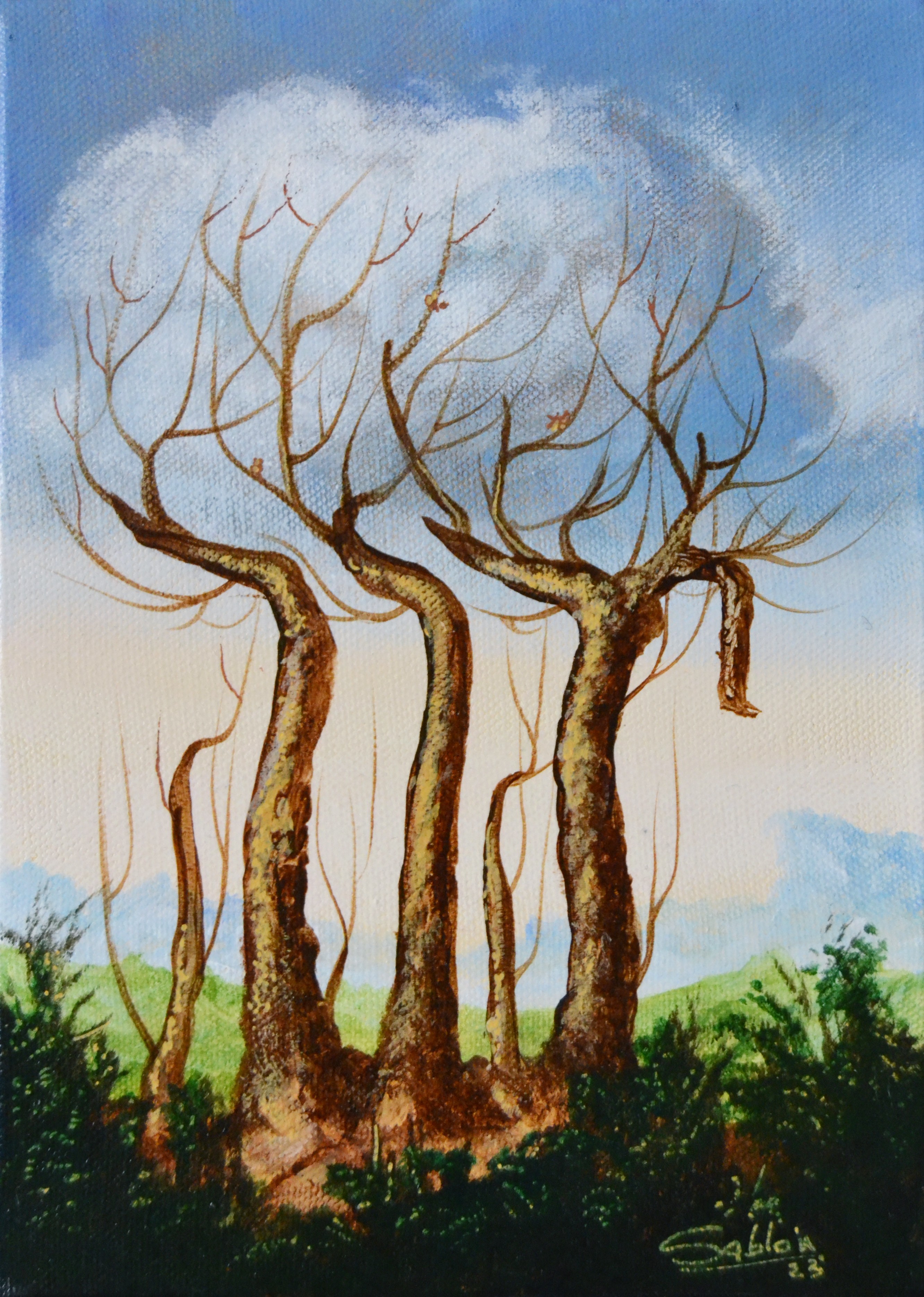 Carlos Antonio Sablon Perez, Paysage onirique Carlos Antonio Sablon Perez, Paysage onirique