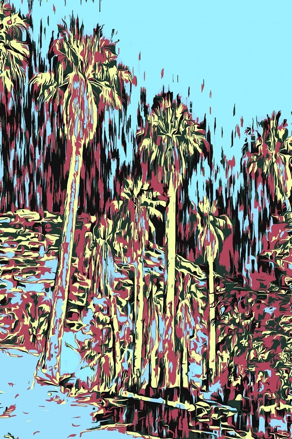 Jarmila Kostliva, Palms Impresso Jarmila Kostliva, Palms Impresso