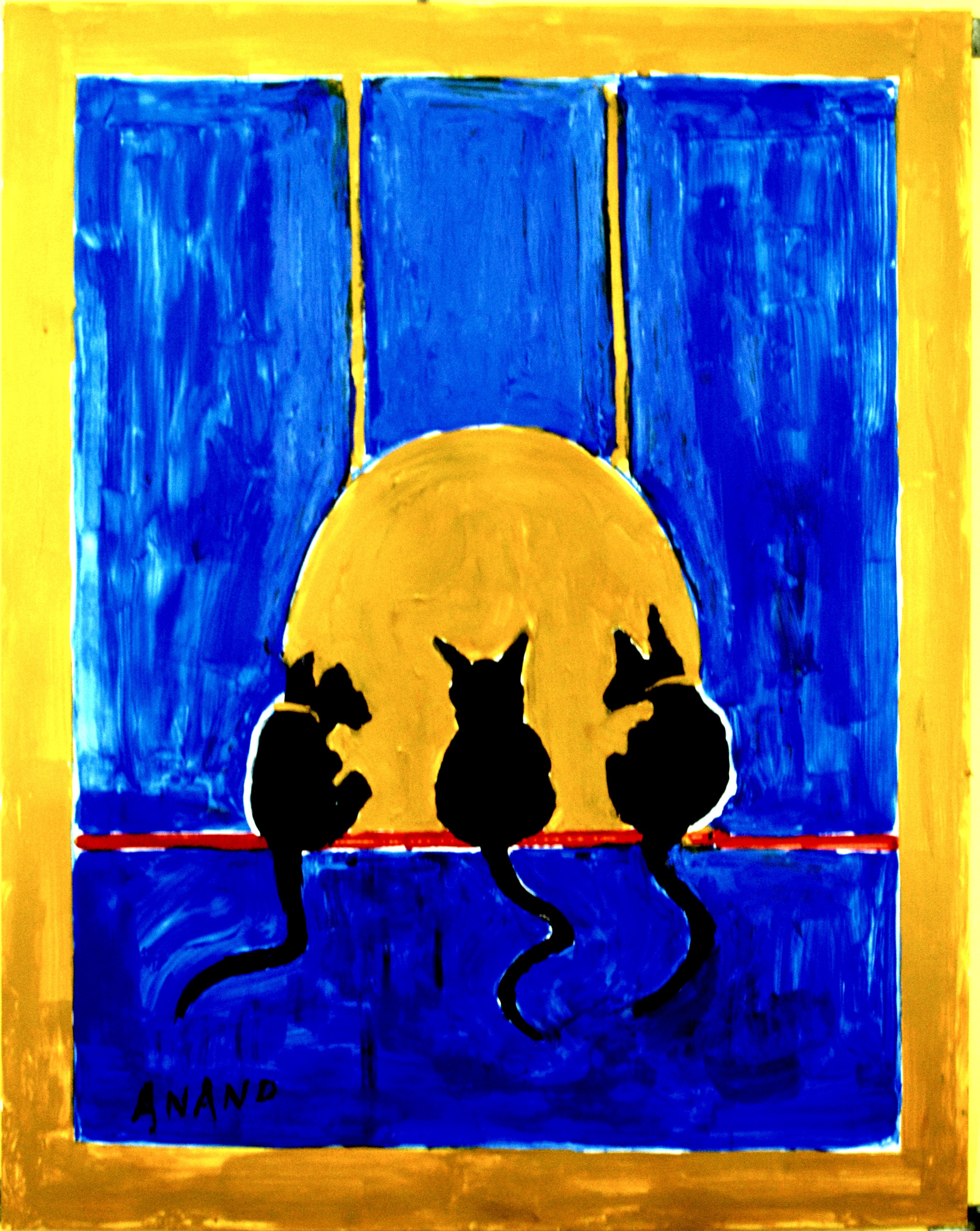 Anand Manchiraju, Three cats Anand Manchiraju, Three cats