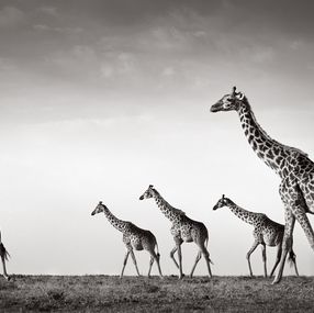 Photographie, Crossing Time, Drew Doggett