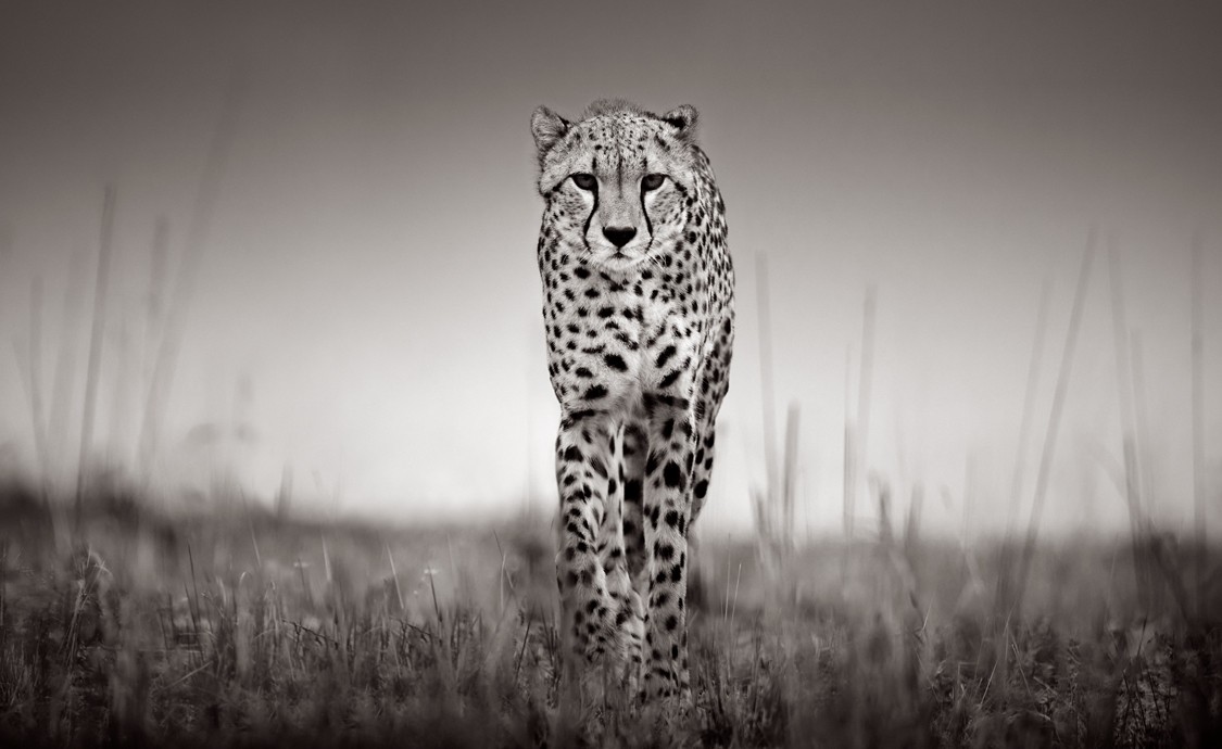 Drew Doggett, Rhythm and Poise Drew Doggett, Rhythm and Poise