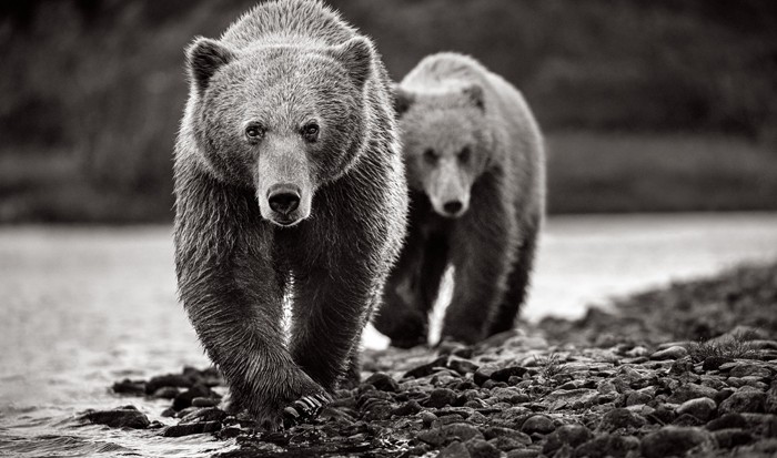 Drew Doggett, Encounter II Drew Doggett, Encounter II