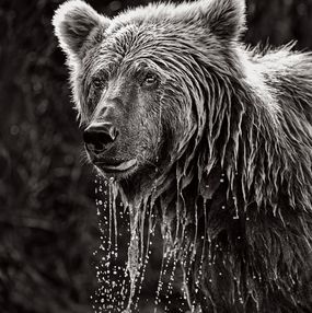 Photography, River Titan, Drew Doggett
