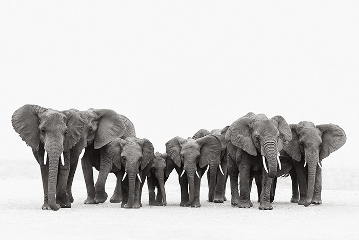 Drew Doggett, Wisdom's Keepers Drew Doggett, Wisdom's Keepers