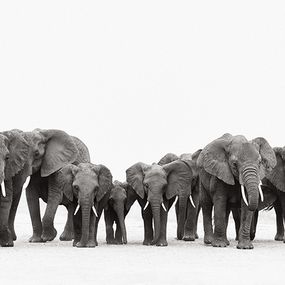 Photography, Wisdom's Keepers, Drew Doggett