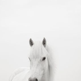 Photography, Belle, Drew Doggett
