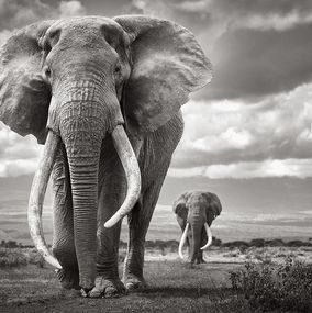 Photographie, Titans of Time, Drew Doggett