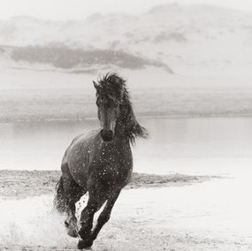 Photographie, The Chase, Drew Doggett