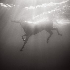 Fotografien, Symphony of Light, Drew Doggett