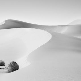 Photographie, Sanctuary, Drew Doggett