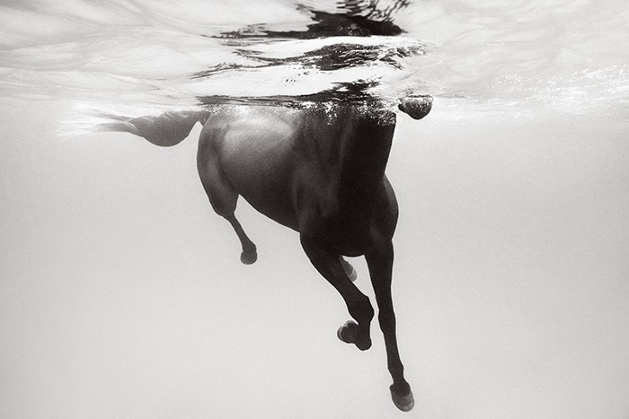 Drew Doggett, Dance of the Sea Drew Doggett, Dance of the Sea