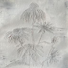 Echinacea, Irena Tone