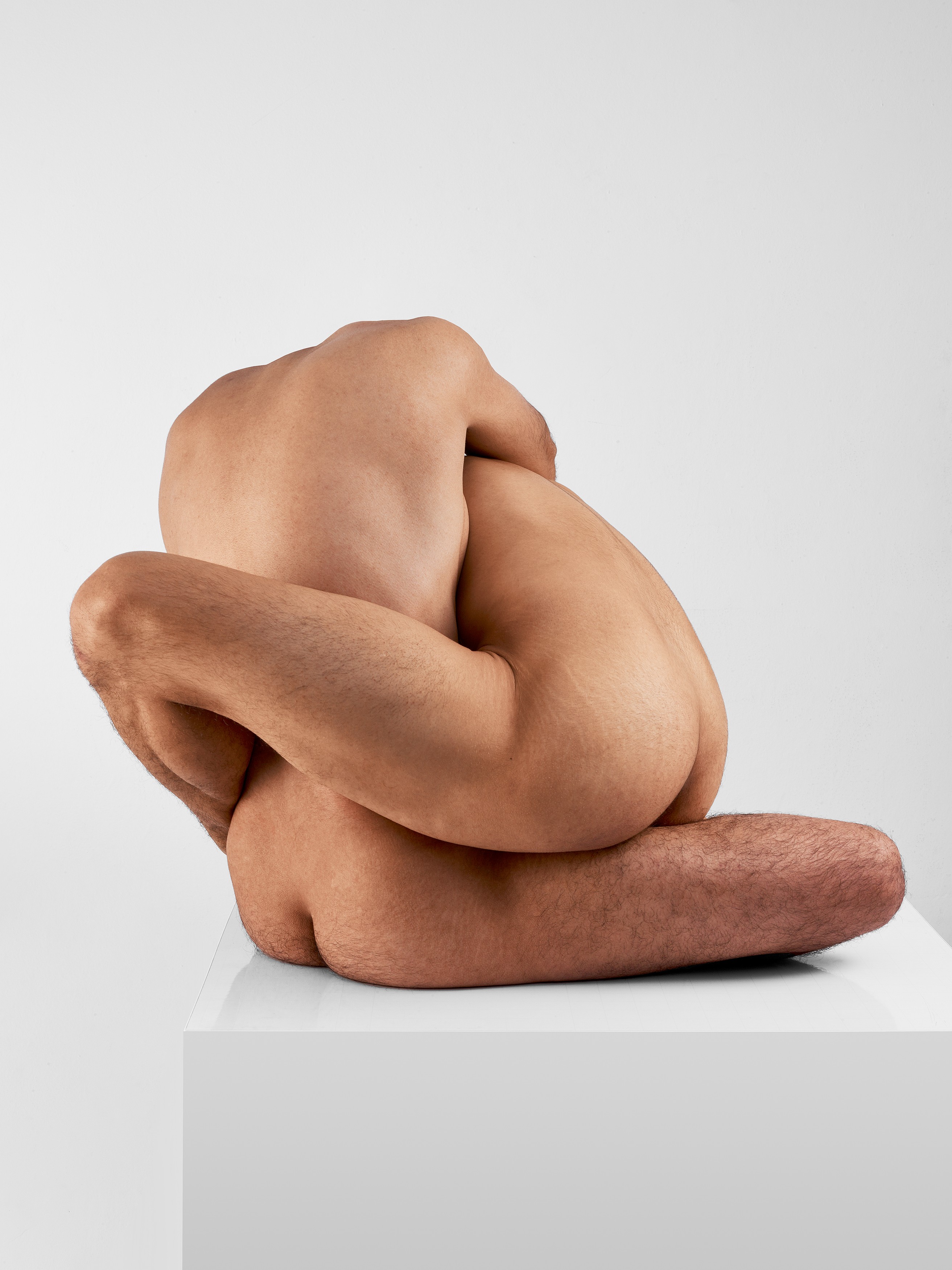 Javier Rey, Amorphism 77 Javier Rey, Amorphism 77