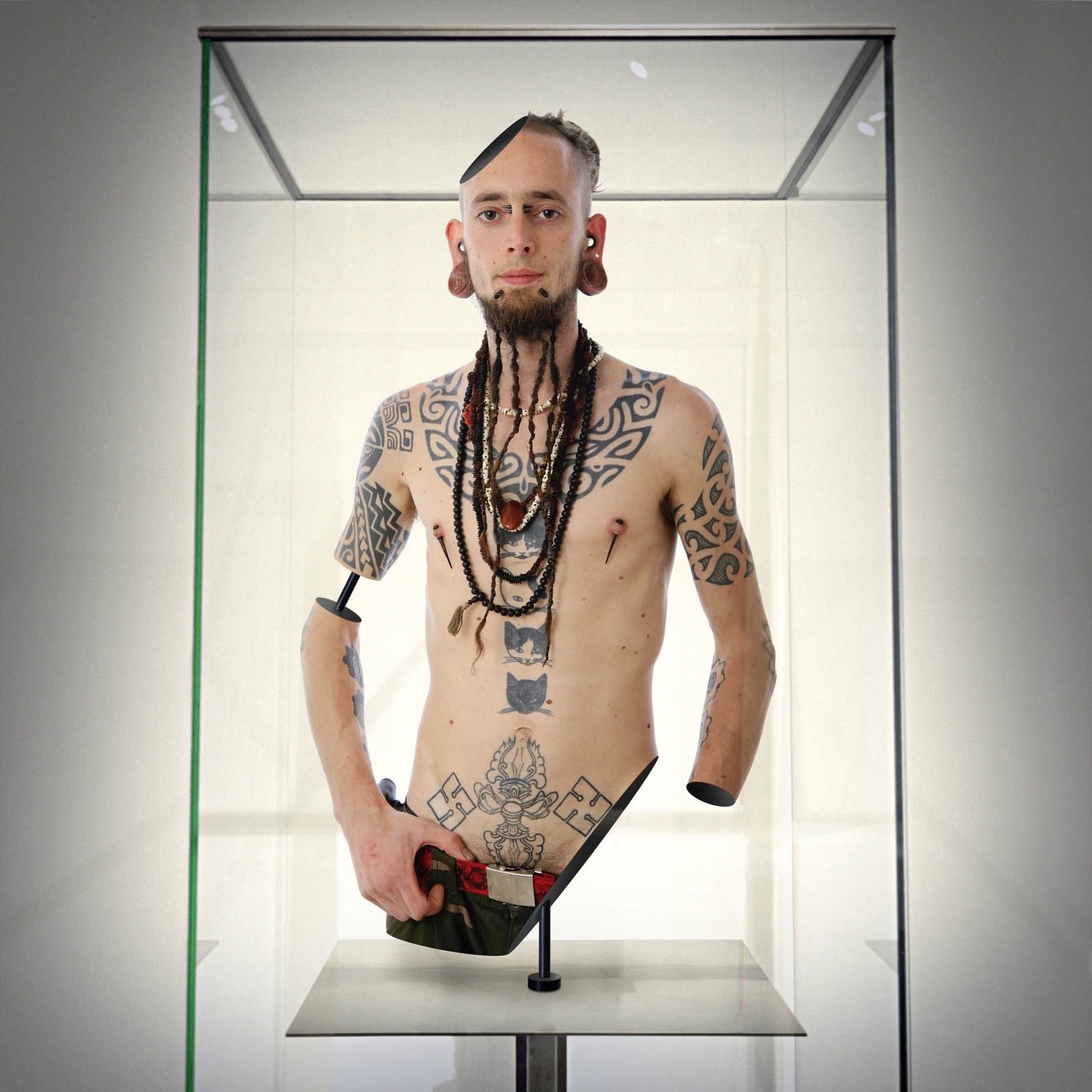 Arnaud Baumann, Excentricité ordinaire Hervé tatoué Arnaud Baumann, Excentricité ordinaire Hervé tatoué