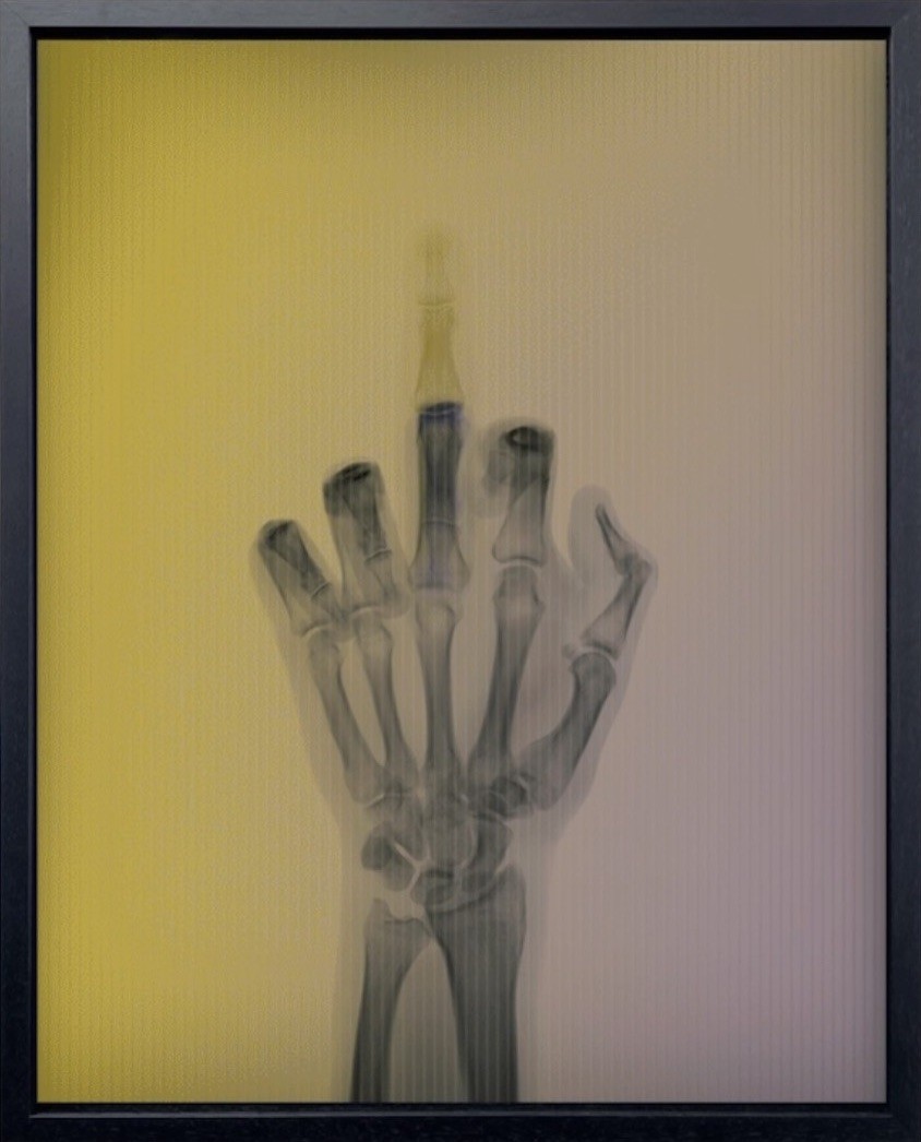 Nick Veasey, The Bird in Colour No 1 TL Nick Veasey, The Bird in Colour No 1 TL
